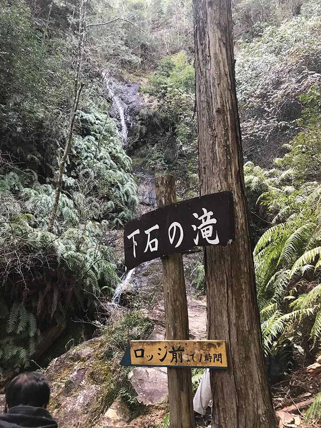 途中撤退の宇連山登山 途中撤退の宇連山登山