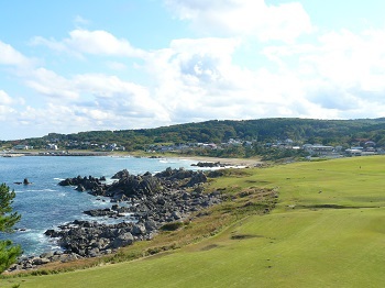 種差海岸 芝生 種差海岸 芝生