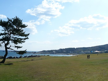 種差海岸 芝生地 種差海岸 芝生地