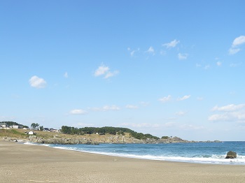 種差海岸 種差海岸