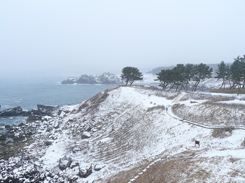種差海岸 冬 種差海岸 冬