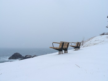 種差海岸 雪 種差海岸 雪