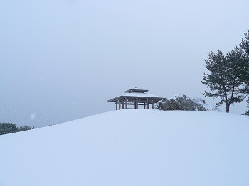 種差海岸 雪 種差海岸 雪