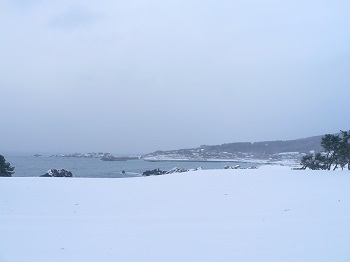 種差海岸 冬 種差海岸 冬
