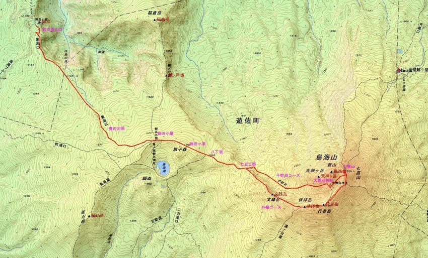 花の山旅 鳥海山5 花の山旅 鳥海山5