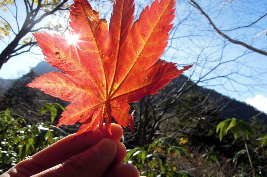 ちいさい秋みつけた　秋の日帰り縦走22Kｍ（松川温泉から岩手山経由の七滝5）