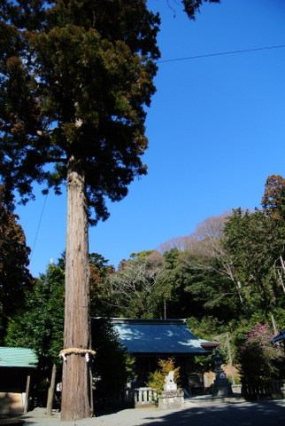 二宮・吾妻山公園～川匂神社