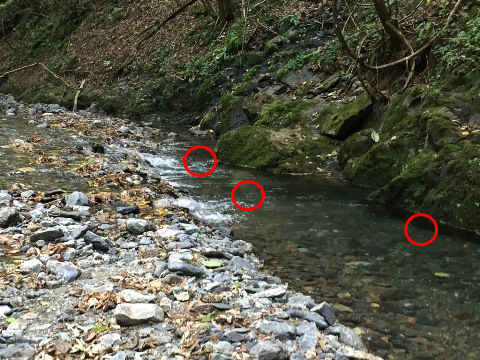 2015ラスト釣行 2015ラスト釣行