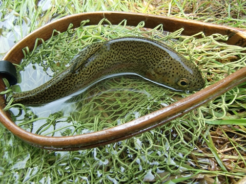 ラス前 ラス前