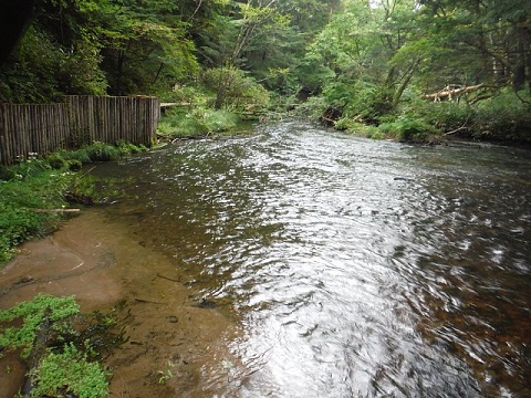 日光・湯川③ 日光・湯川③