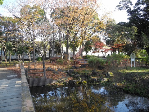 紅葉も終わり 紅葉も終わり