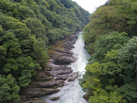 トロッコ電車 トロッコ電車