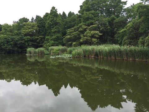 久しぶりの何時ものフィールド 久しぶりの何時ものフィールド