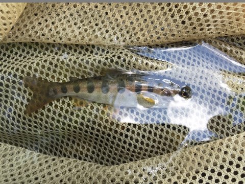 秋は着実に・・・・・ 秋は着実に・・・・・