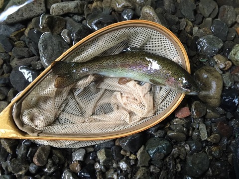 2回目の「沈」 2回目の「沈」