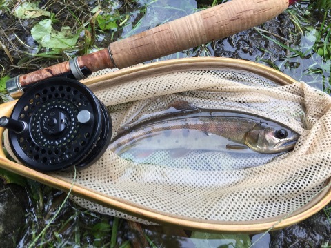 2回目の「沈」 2回目の「沈」