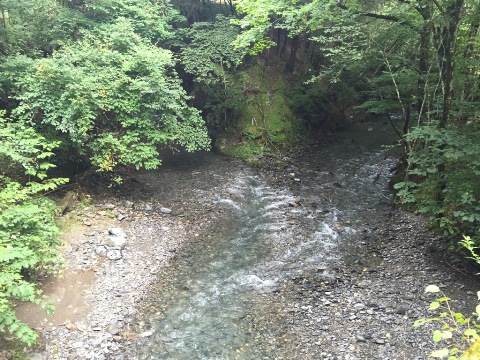 2015ラスト釣行 2015ラスト釣行