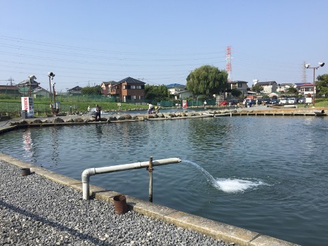 今日は朝霞 今日は朝霞