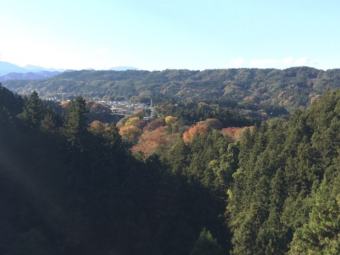 秩父FF 秩父FF