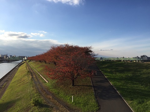 サイクリング③ サイクリング③