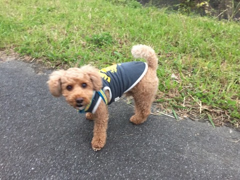 久しぶりです 久しぶりです