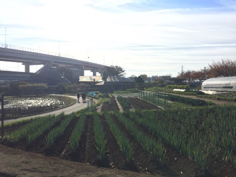 サイクリング④ サイクリング④