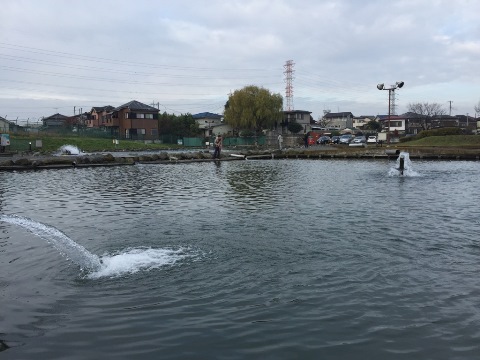 今日は二刀流 今日は二刀流