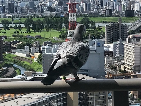 一休み? 一休み?
