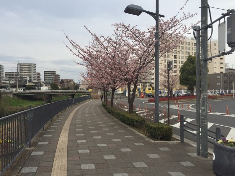 もう少しで・・・・ もう少しで・・・・