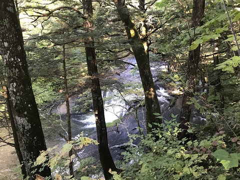 シーズン最後は湯川 シーズン最後は湯川
