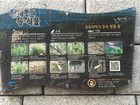 海の向こうへ 1日目 海の向こうへ 1日目