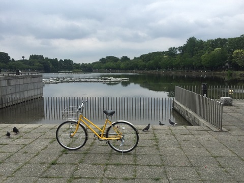 久しぶりの自転車漕ぎ 久しぶりの自転車漕ぎ