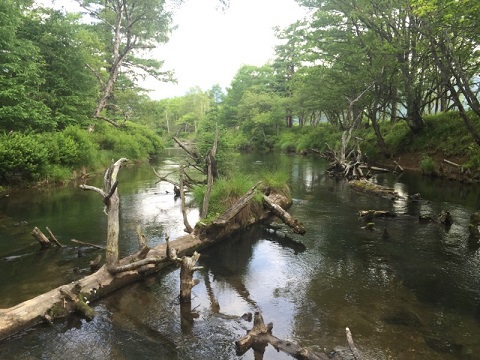 日光・湯川① 日光・湯川①
