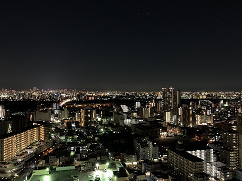 酉の市と昌汰 酉の市と昌汰