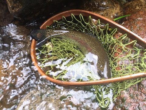 増水後の爆・・・ 増水後の爆・・・