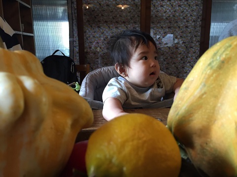 10/9:栃木のおばあちゃん家 10/9:栃木のおばあちゃん家