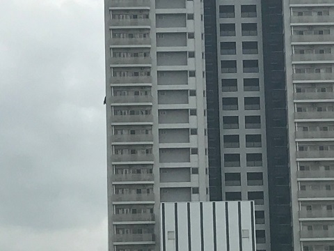 スパイダーマン・・・? スパイダーマン・・・?
