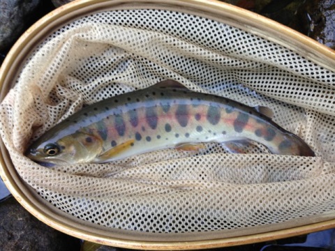 秋は着実に・・・・・ 秋は着実に・・・・・