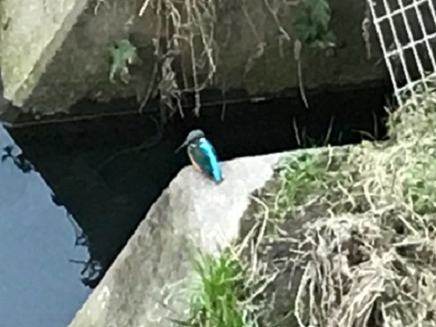 やっと・・・ やっと・・・
