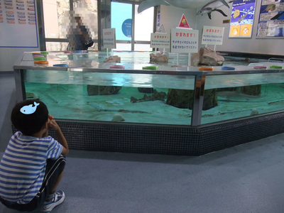 子供と2人で姫路市立水族館 子供と2人で姫路市立水族館