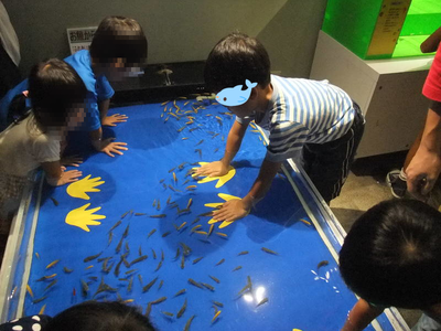 子供と2人で姫路市立水族館 子供と2人で姫路市立水族館
