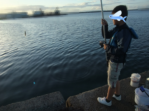 子供と2人でサビキ釣り ・・・ 撃沈(T ^ T) 子供と2人でサビキ釣り ・・・ 撃沈(T ^ T)