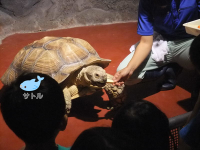 子供と2人で姫路市立水族館 子供と2人で姫路市立水族館