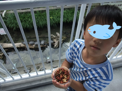 子供と2人で姫路市立水族館 子供と2人で姫路市立水族館