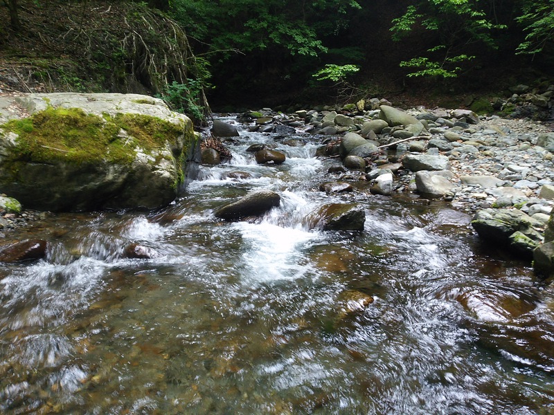 小菅川6月10日 ~雨が降らない梅雨の入り~ 小菅川6月10日 ~雨が降らない梅雨の入り~