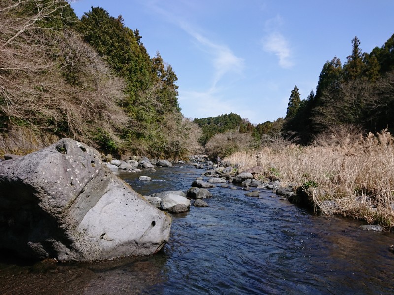 春の芝川交流会2020 春の芝川交流会2020