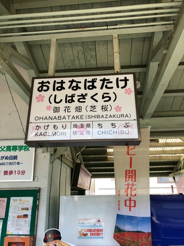 橋立川キャンプ場で炎幕デビューキャンプ! 橋立川キャンプ場で炎幕デビューキャンプ!
