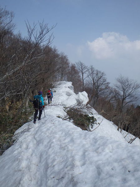 春の陽気の氷ノ山で雪上訓練~! 春の陽気の氷ノ山で雪上訓練~!
