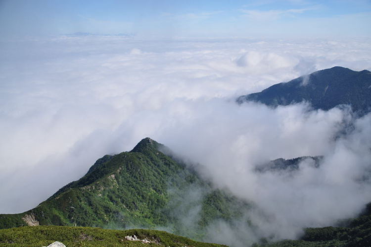 木曽駒ケ岳 梅雨明けの中央アルプスへ奥様をご案内 木曽駒ケ岳 梅雨明けの中央アルプスへ奥様をご案内