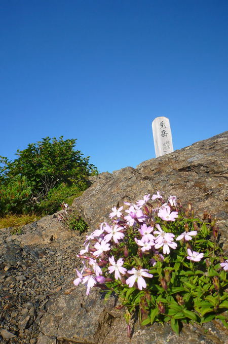 聖岳から悪沢岳へ 南アルプス南部大縦走は厳しくも美しい稜線だ 聖岳から悪沢岳へ 南アルプス南部大縦走は厳しくも美しい稜線だ
